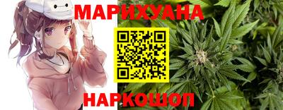 гидропоника Ставрополь