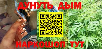 гидропоника Ставрополь