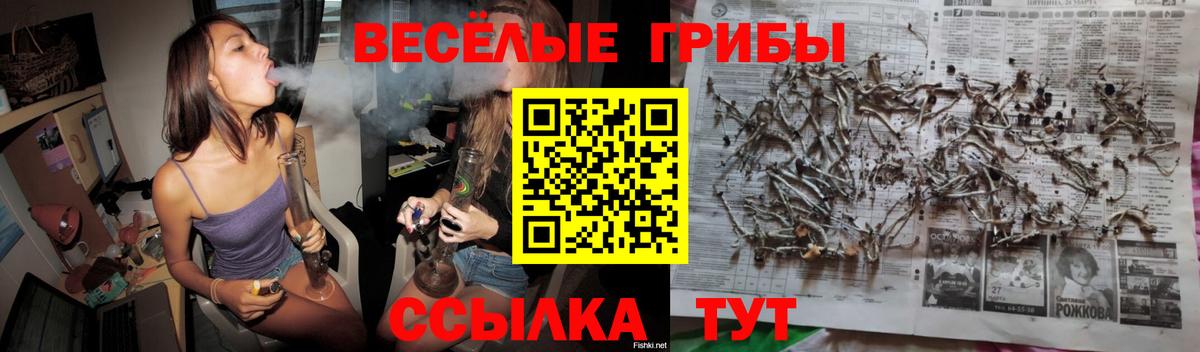 Псилоцибиновые грибы MAGIC MUSHROOMS  Галлюциногенные грибы ЛСД  Прокопьевск  Вход с VPN 